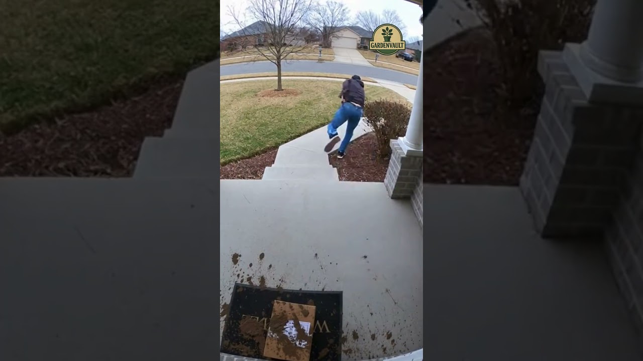 Porch Pirate Panics 🟫😱 (Caught On Ring Camera)