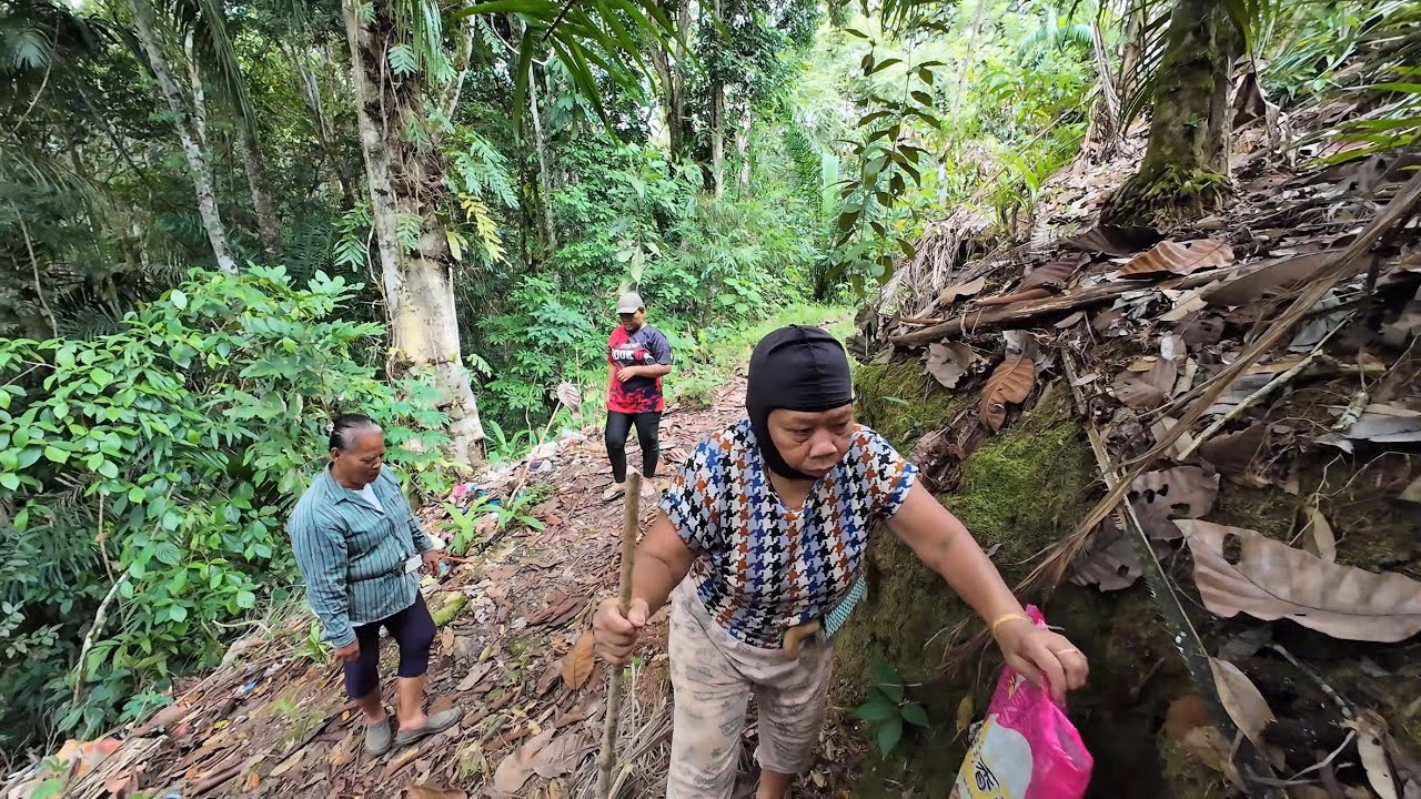 BUAH NENAS DI KEBUN KUMANG JAWAI KENA CURI // TANAMAN SEMAKIN SUBUR SELEPAS PASANG JARING // 