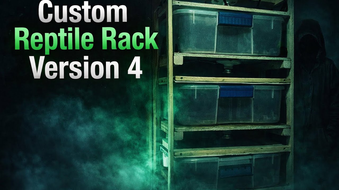 The Evolution of Our Custom Reptile Rack (V4 Build)
