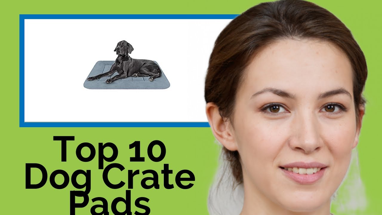 👉 Top 10 Dog Crate Pads  2021  (Review Guide)