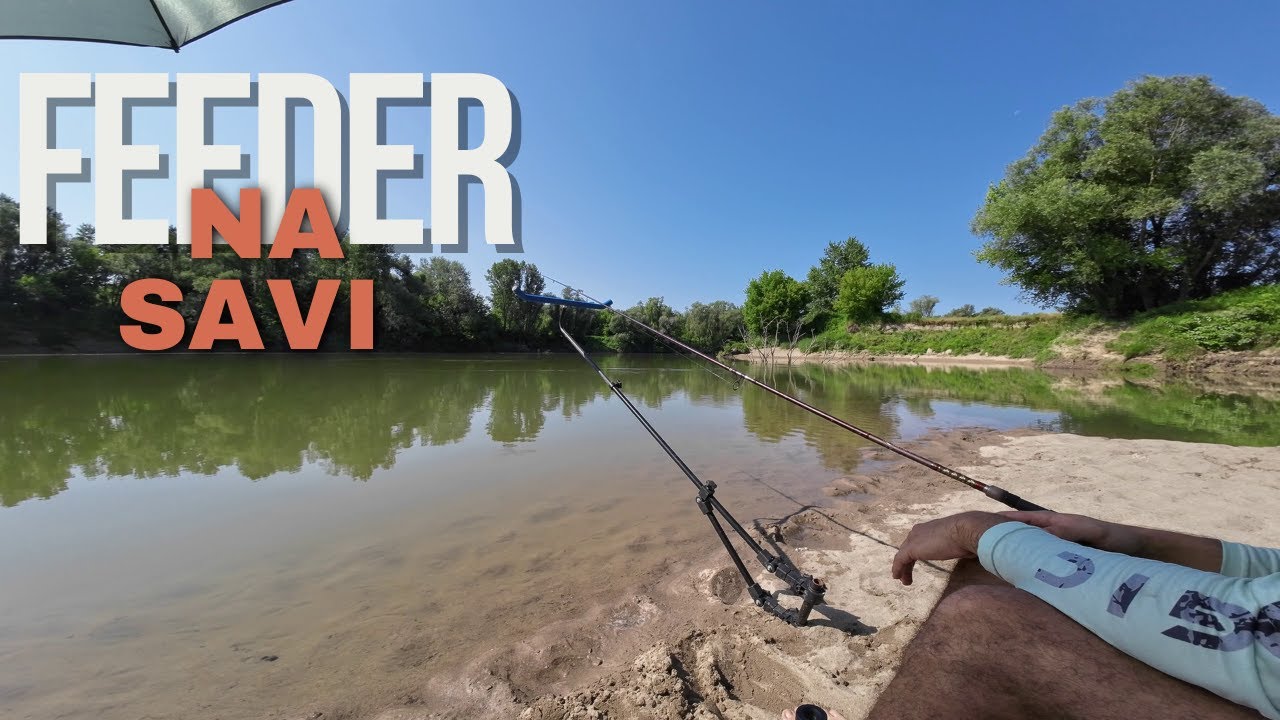 Ljetni feeder ribolov na savi!!! GUŠTANJE!!!