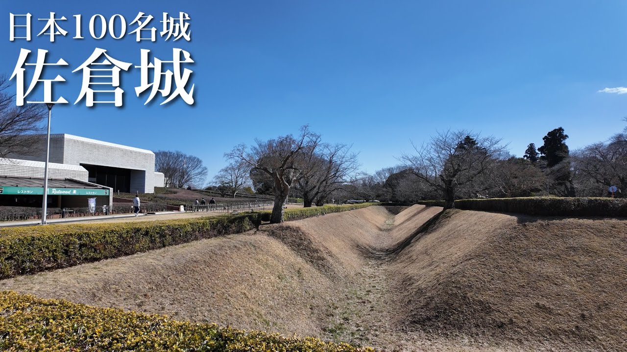 日本100名城　佐倉城　満開の河津桜　千葉県　Sakura Castle 2024