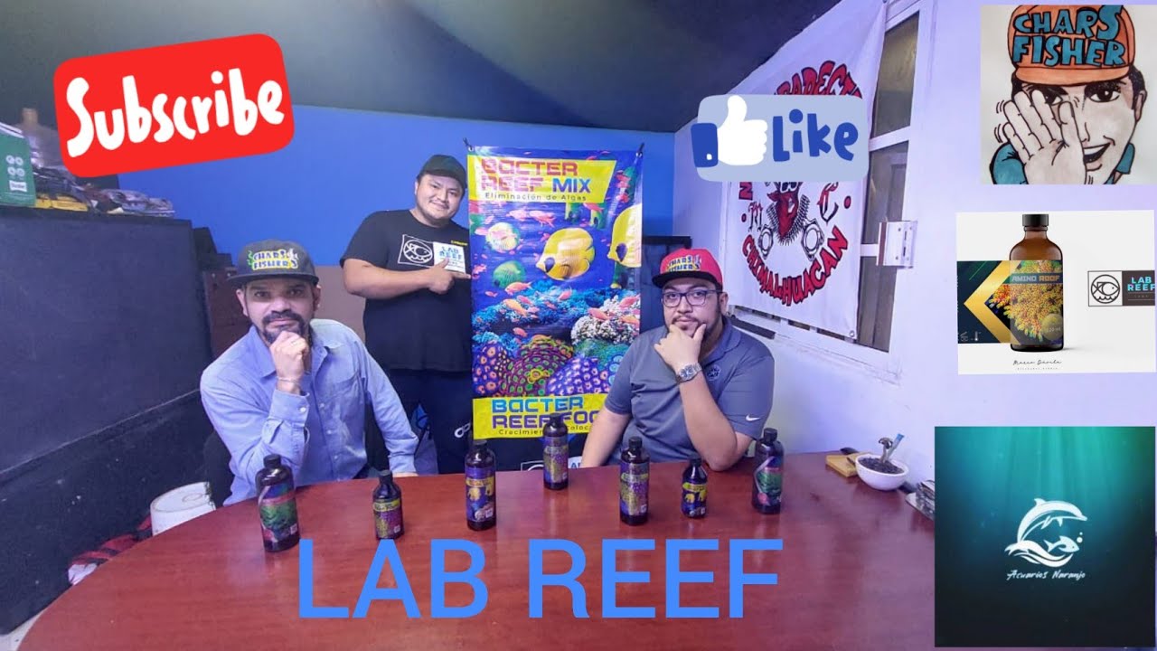 LAB REEF Bacteria para acuario
