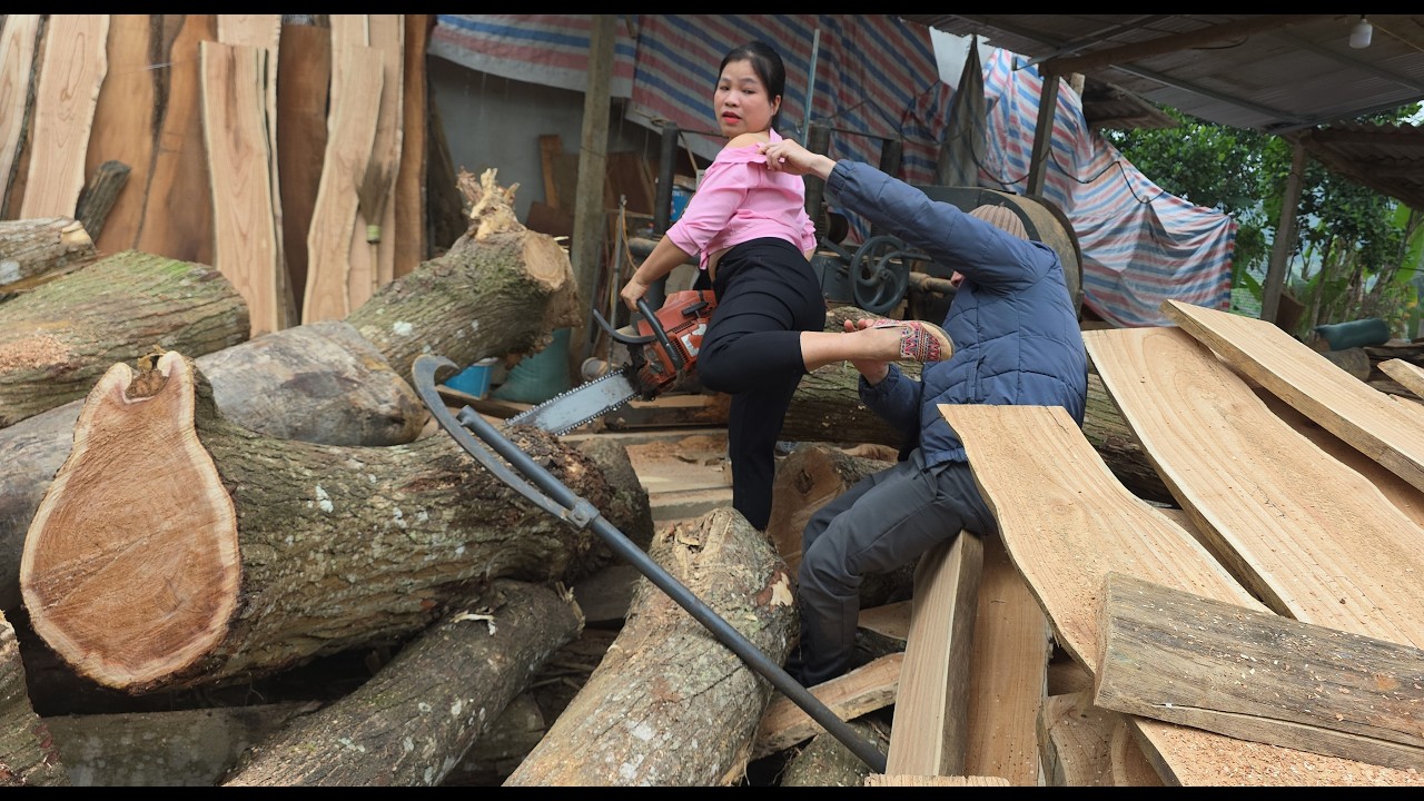 Это удивительно! Девушка срубила огромное старое дерево.