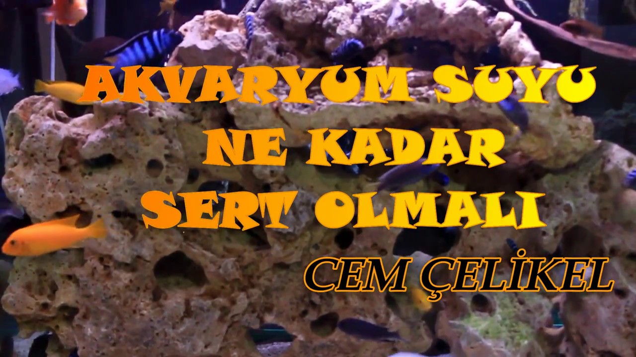 SU SERTLİĞİ NE KADAR OLMALI(Akvaryum Su Sertliği Ve Sertlik Derecesi Ne Olmalı,Nasıl Ölçülür,Ölçümü)