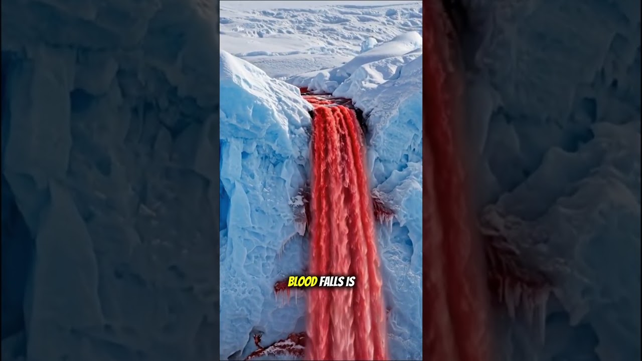 The Blood Falls Mystery in Antarctica 🌍🩸
