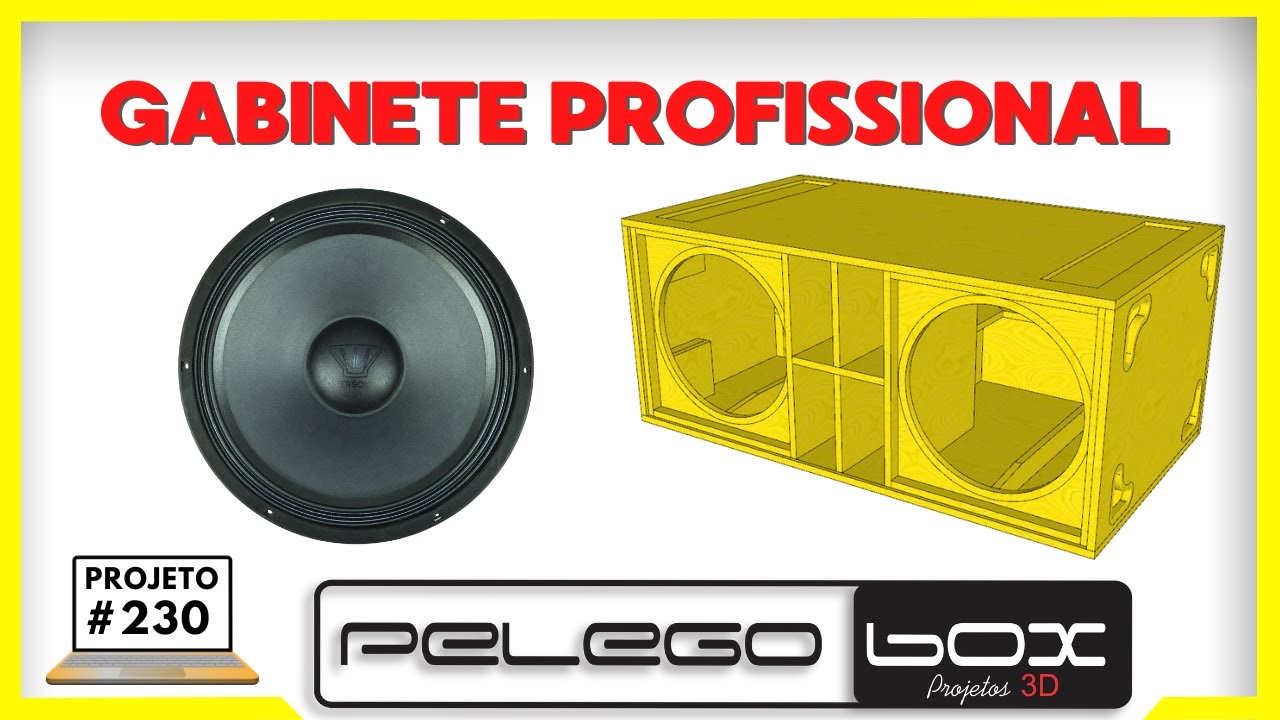 #230 PROJETO PERSONALIZADO PELEGO BOX PARA 2X 18