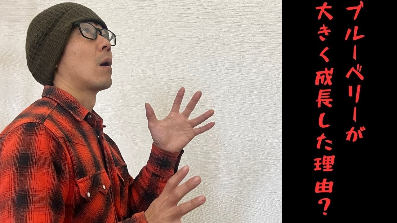 【衝撃の差】半年で1m成長！長野県松本市のブルーベリーはなぜ！？ポテンシャルが凄すぎる…木更津育ちと比較検証」