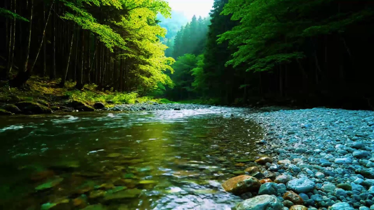 Forest Ambience - Birds Singing & Beautiful Stream Sounds for Peaceful Sleep,Deep Rest,Medicine ASMR