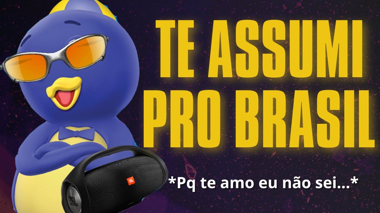 BEAT TE ASSUMI PRO BRASIL - Oq na vida ninguém fez...(FUNK REMIX) by DJ Pablito