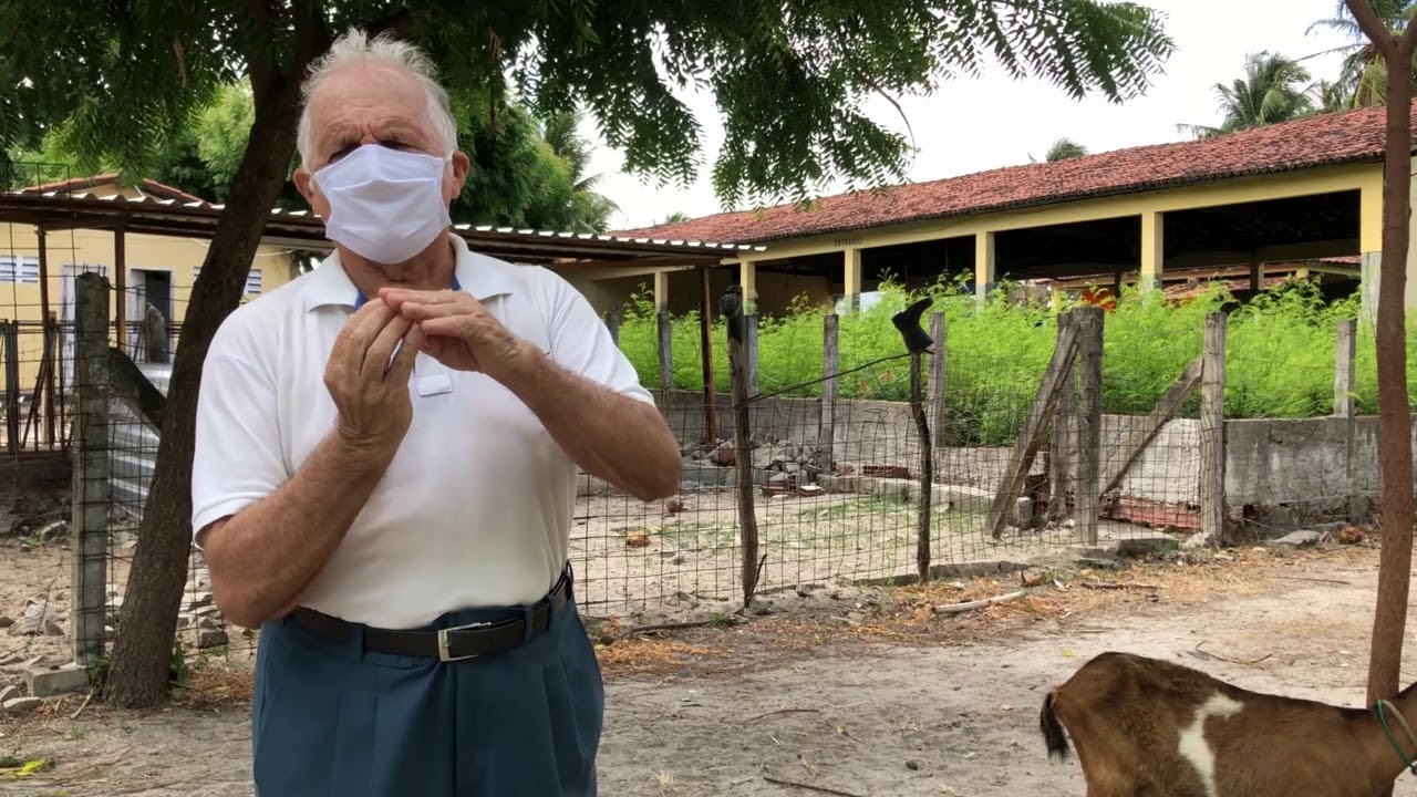 Aula Prática 2 - Avaliação da Idade pela Dentição de ovinos e caprinos