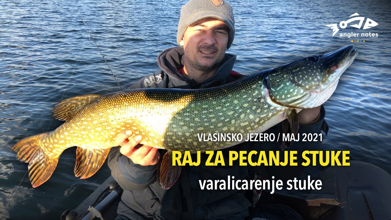 Raj za Pecanje Stuke - Varalicarenje Stuke / Pike Heaven in Serbia