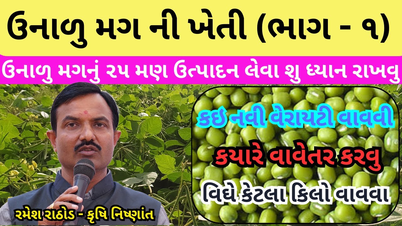 ઉનાળુ મગ ની કઇ નવી જાત પસંદ કરવી અને ક્યારે વાવેતર કરવું | મગની ખેતી ભાગ – ૧ | Unalu Mag Ni Kheti