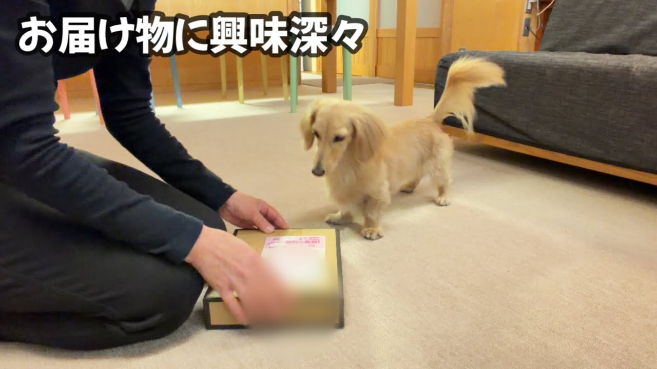 皆様良いお年をお迎えください❤️