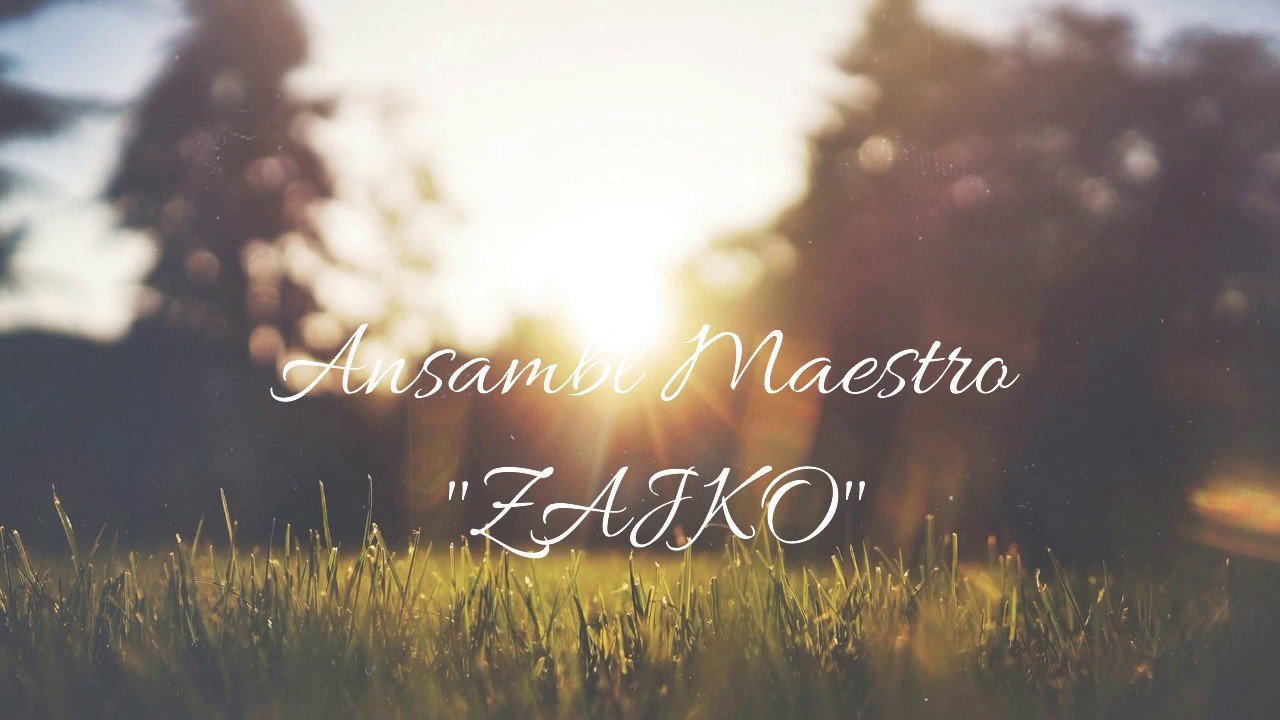 Ansambl Maestro - 