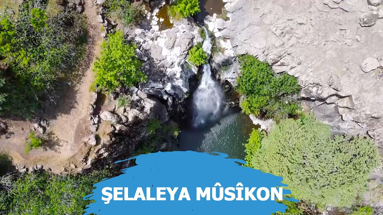 JI XWEZAY&Ecirc; - ŞELALEYA M&Ucirc;S&Icirc;KON / &Ccedil;&Ecirc;RM&Ucirc;G - AMED