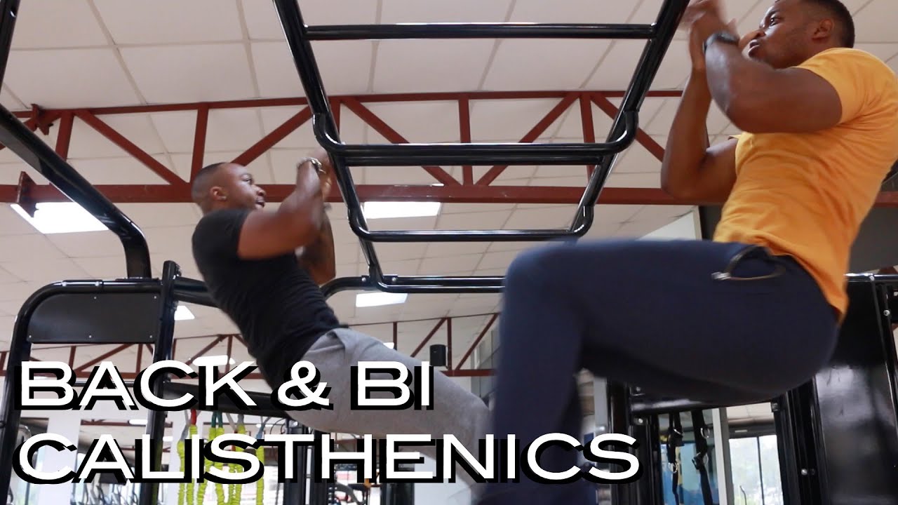 Back & Bi- Calisthenics | Just Gym It
