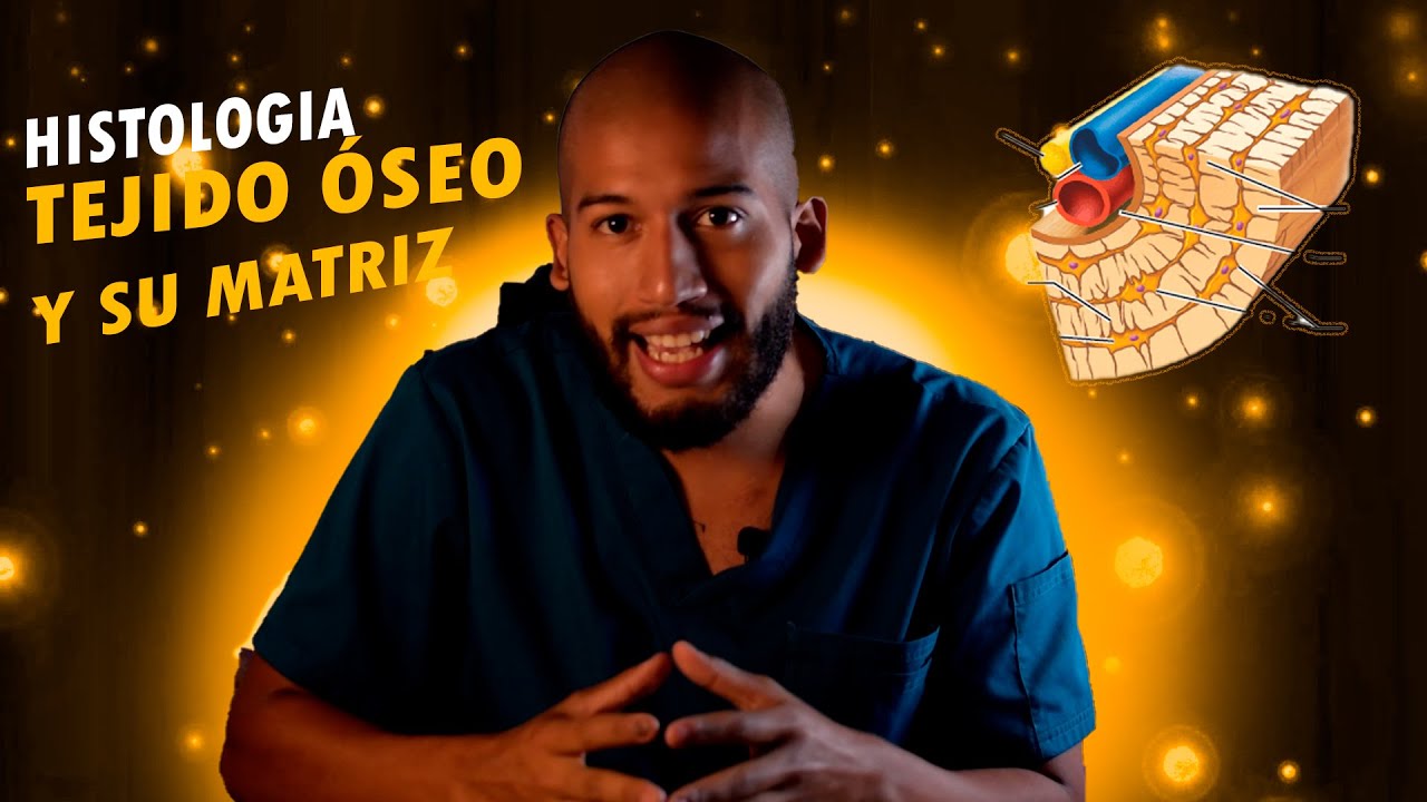 Histología - TEJIDO ÓSEO (Hueso, matriz y su mineralización, células)