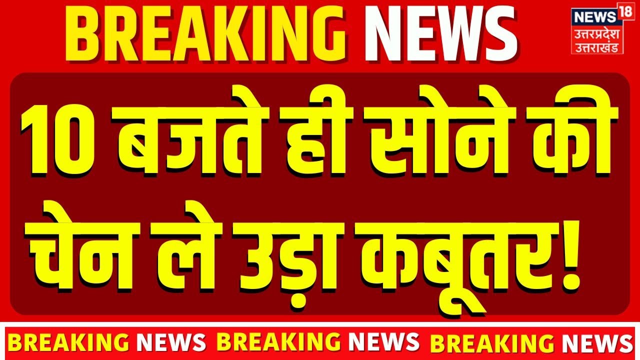 Pigeon Steals Gold Chain | सोने की चेन ले उड़ा कबूतर! Viral Video | Gold Price | Top News | Breaking