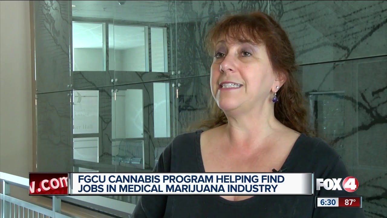 FGCU program aims to help job seekers in medical marijuana industry
