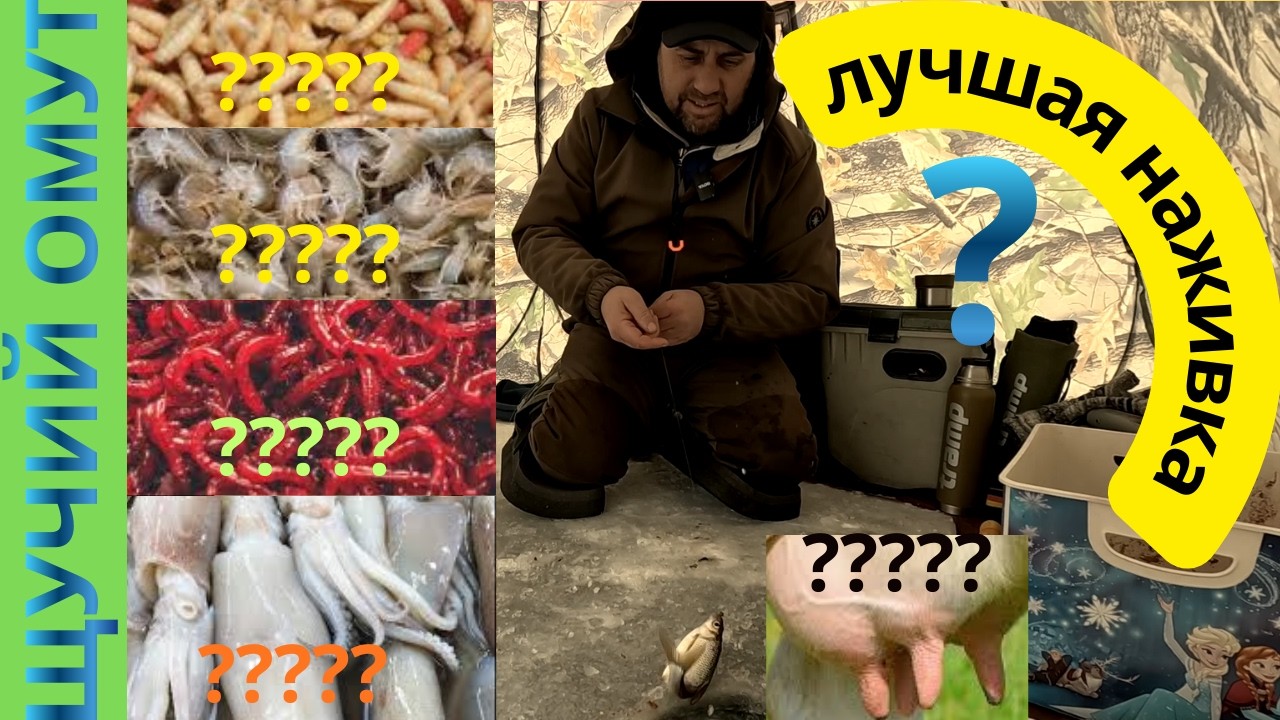 Найкраща наживка на плотву у зимку