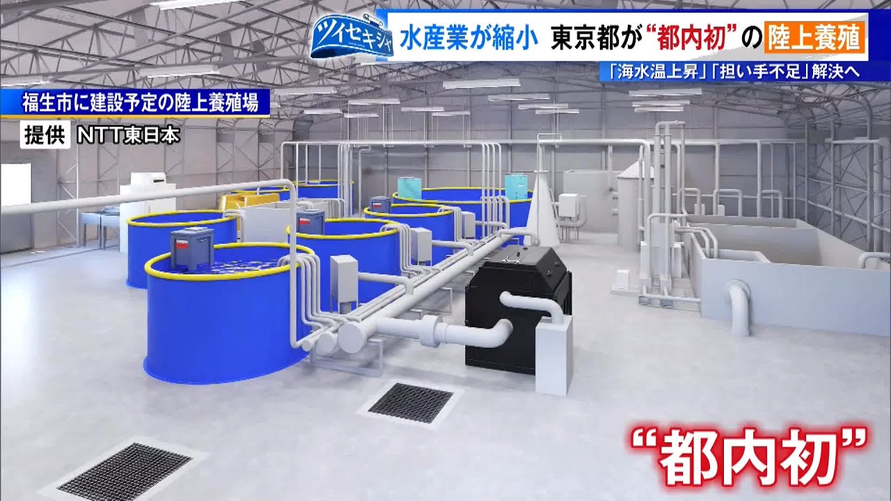 日本の水産業は縮小傾向に・・・東京都が初めて取り組む「陸上養殖」を取材
