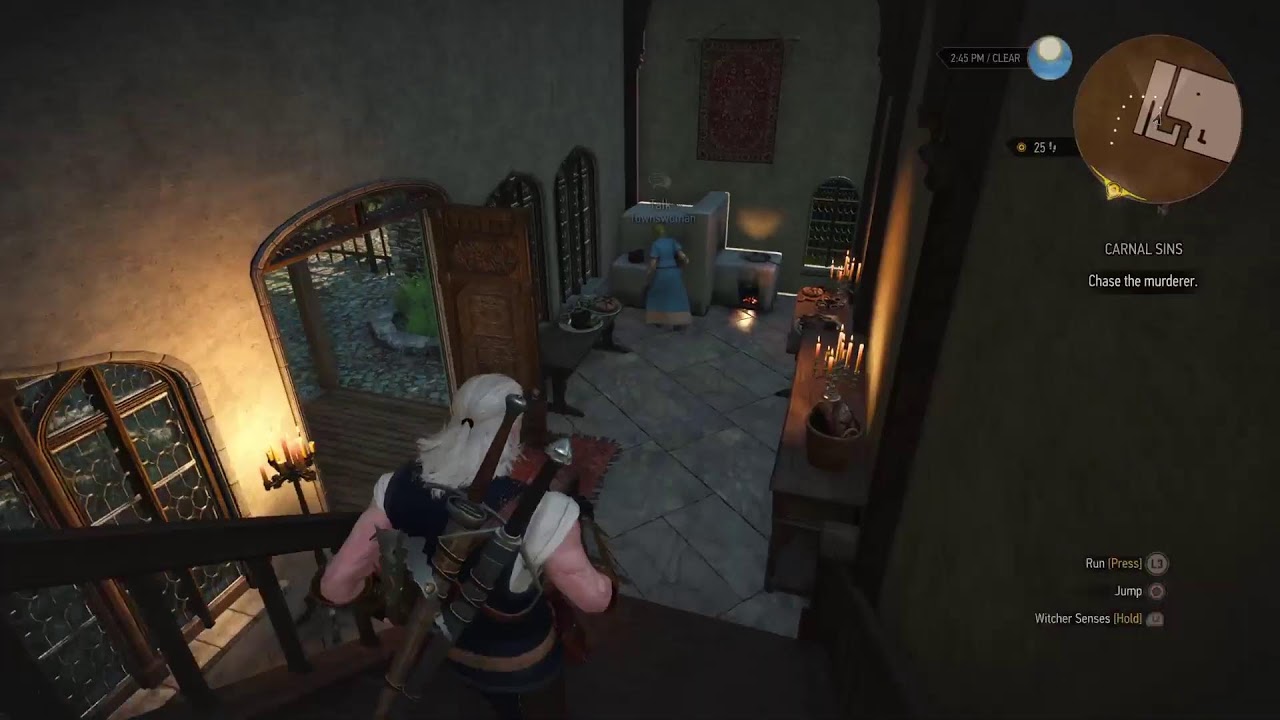 the witcher 3