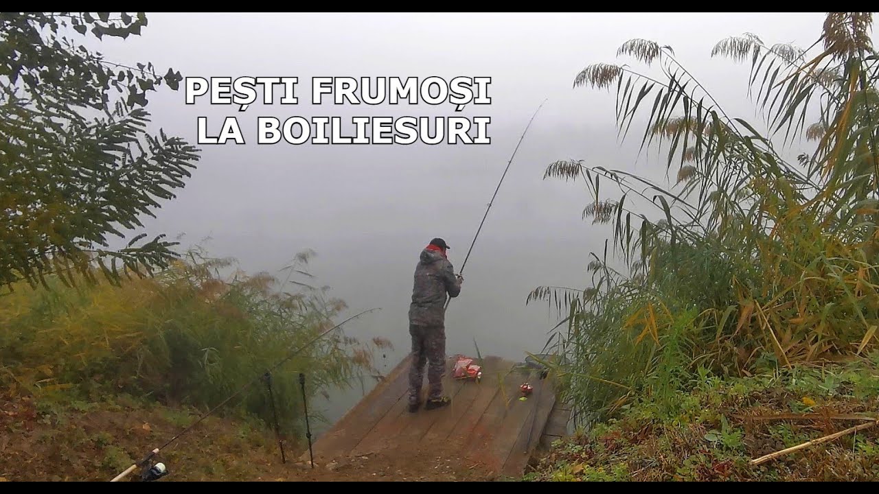 DRILURI și TRĂSĂTURI FRUMOASE LIVE- Pescuit cu Boiliesuri-Valea lui Mihai, Alba- DELPHIN Etna + INOX