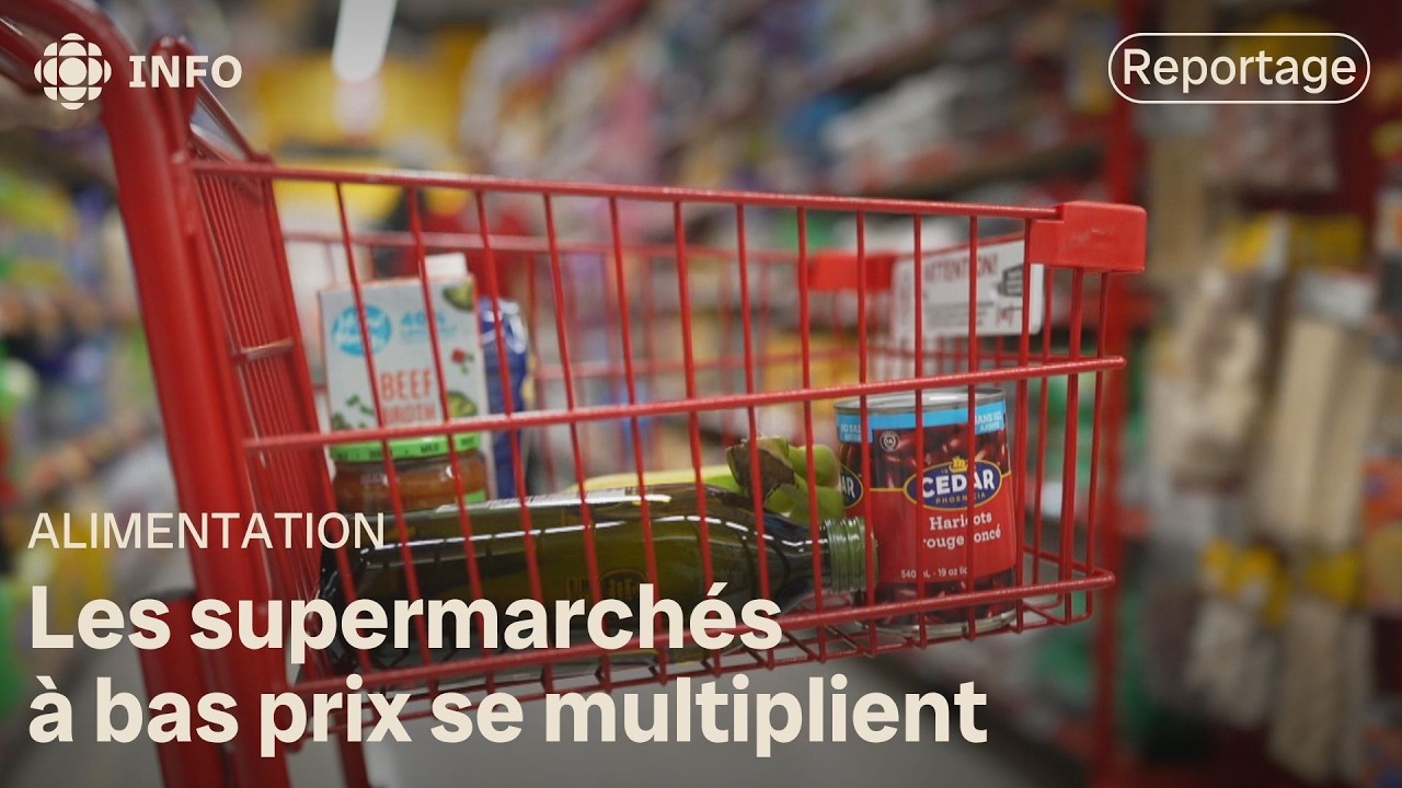 Enseignes &agrave; escompte : un mod&egrave;le qui gagne en popularit&eacute;