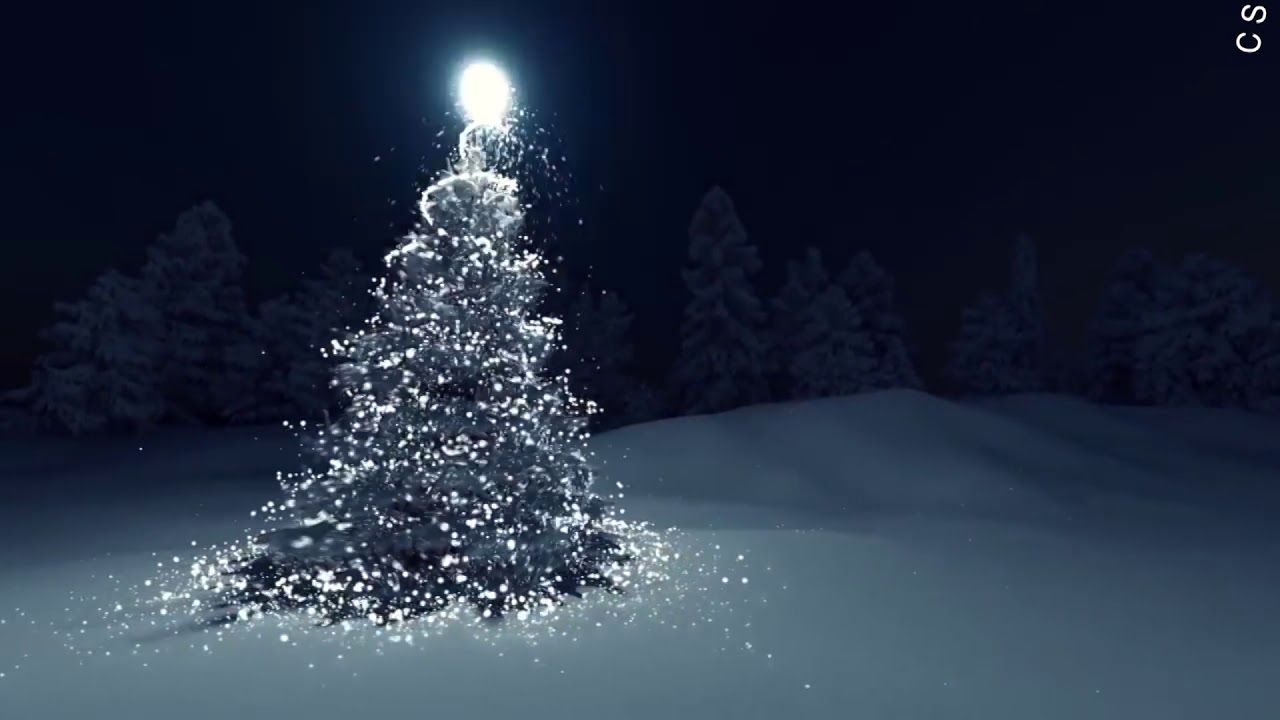 CAROL NIGHT MCW 2019