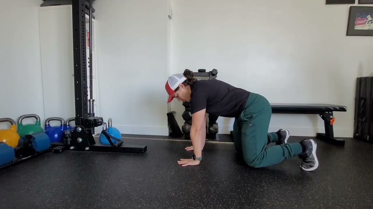 Bear Plank with Row (Quadruped Cable Row)
