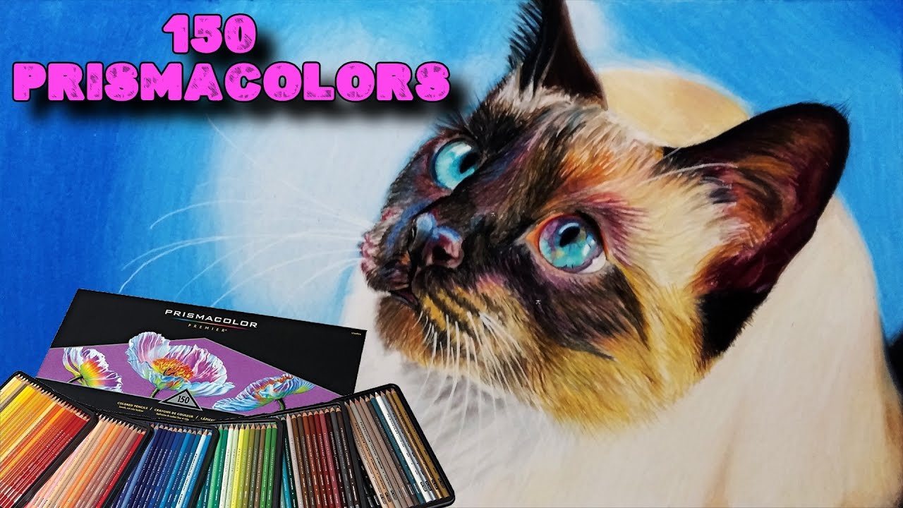 UNBOXING 150 PRISMACOLORS + COLOREANDO GATO SIAMÉS | ArteMaster