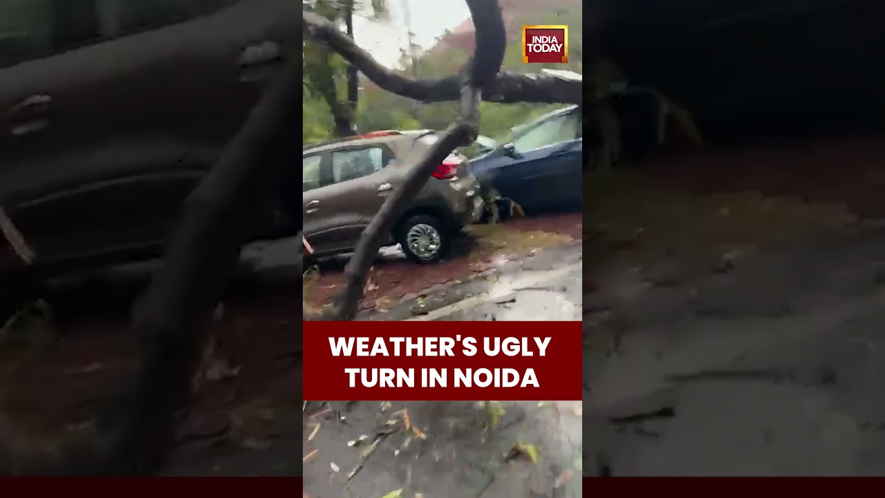 Massive Rains & Dust Storm Uproot Trees, Damage Cars in Noida Film City | India Today