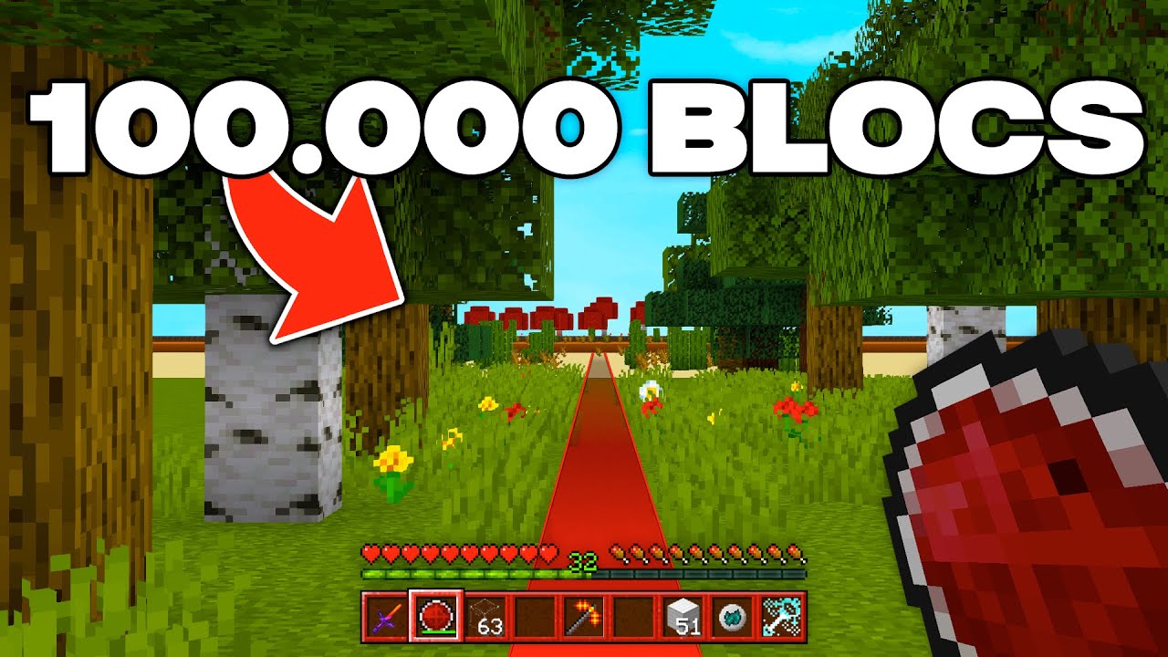 J'ai MARCHÉ 100.000 BLOCS pour tomber sur ces PILLAGES (j'ai claqué un WITHER) sur PALADIUM V10