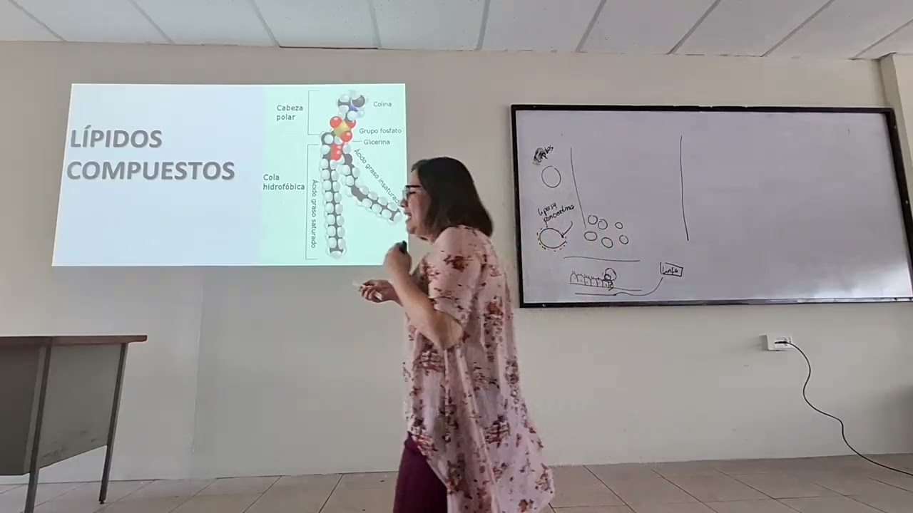 Lipidos compuestos 1