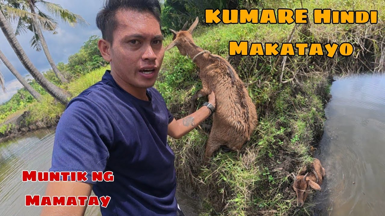 SUBRANG NANGHIHINA SI KUMARE HINDI MAKATAYO| Katuba Official 