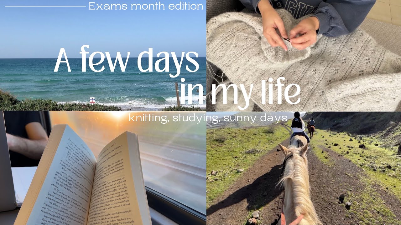 A few days in my life during exams! 🪷☀️ knitting, studying and sunny days 