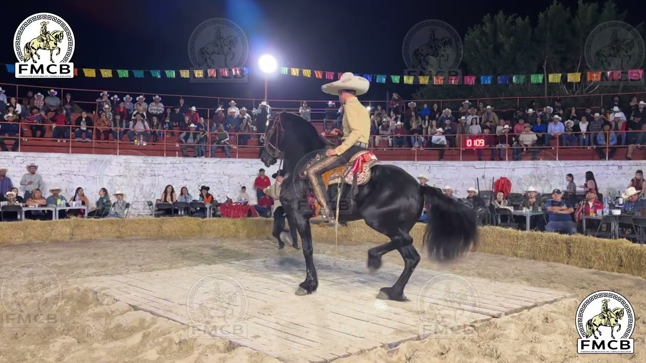 El Zorro Cuadra Herlo 3er lugar categoría C. Novatos Gran Concurso Caballo Bailador Compostela 2026