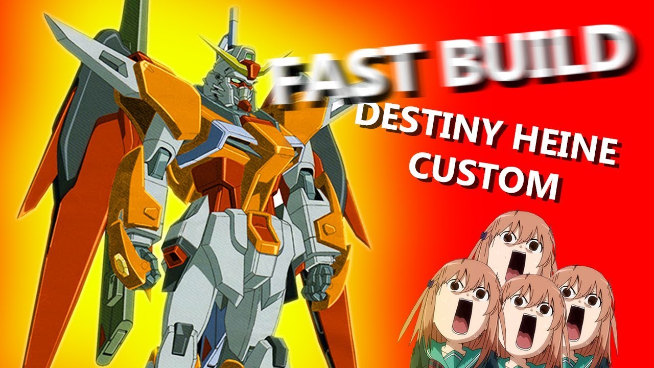 Fast Build - Destiny Heine Custom