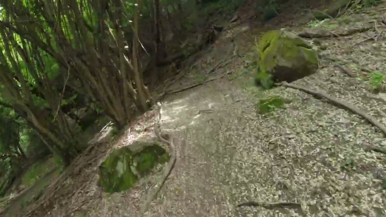 Trail Rettore Madonna della Guardia Genova