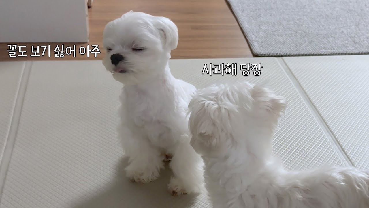 좋은 말로 할 때 화해해라^^