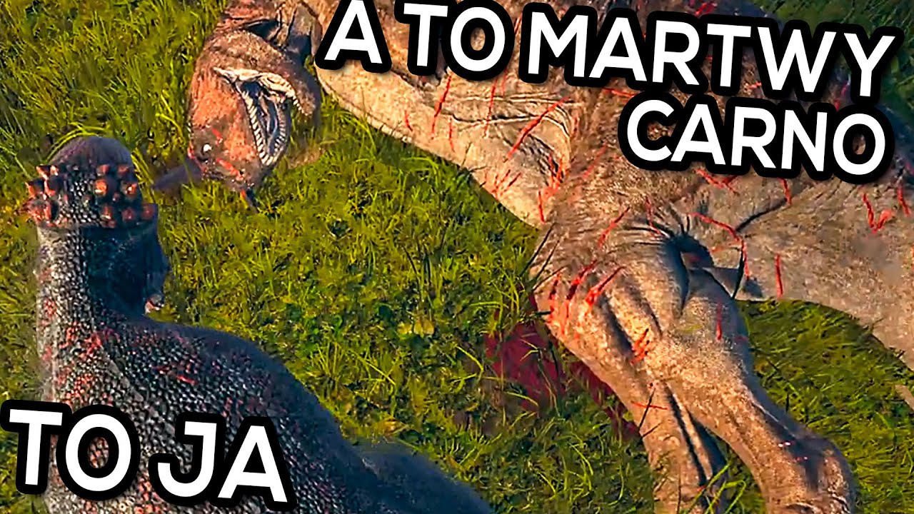 mój 