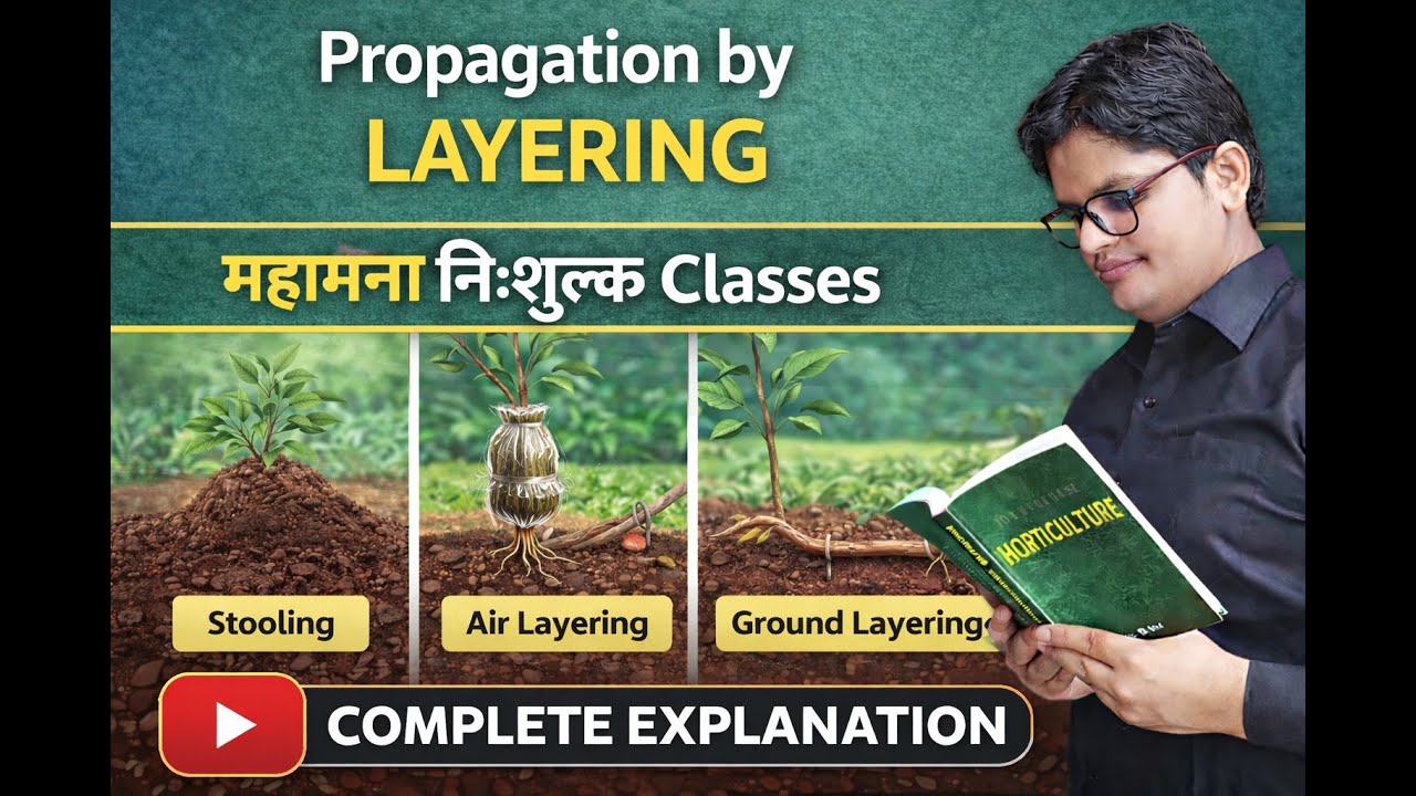 Propagation by Layering || लेयरिंग द्वारा प्रवर्धन || Fundamentals of Horticulture