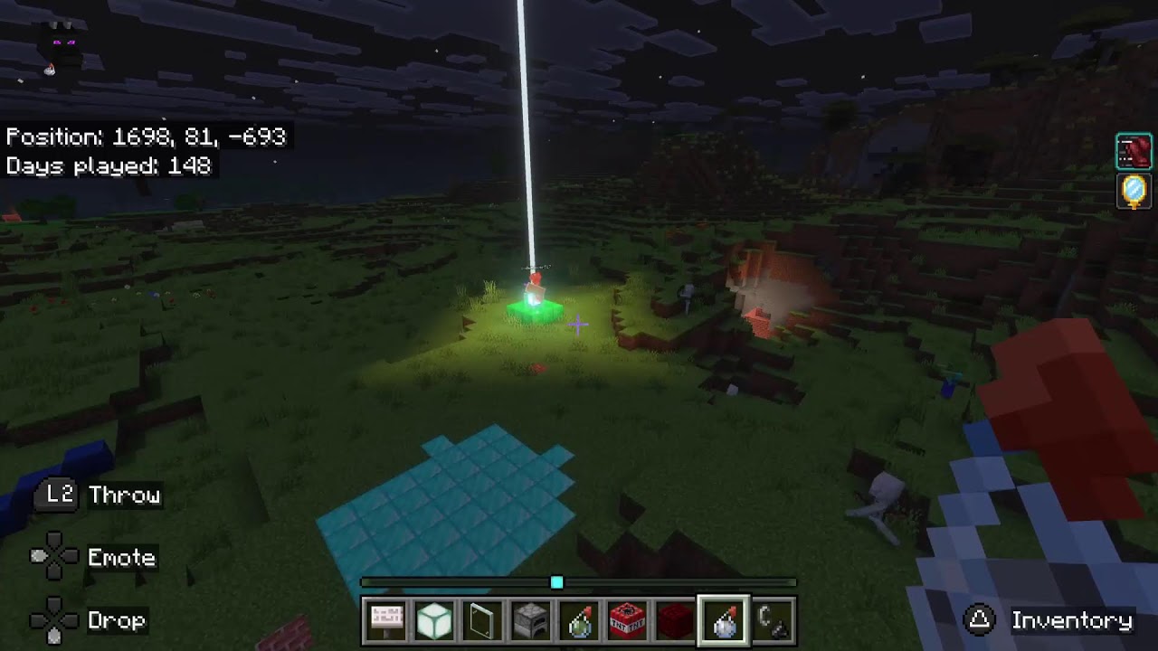 Played a game.Minecraft with my friend.