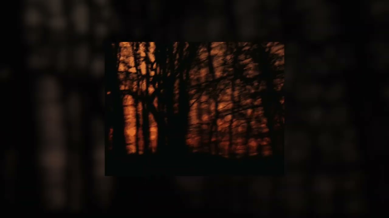 Meet Me In The Woods — Lord Huron (Slowed + Reverb)