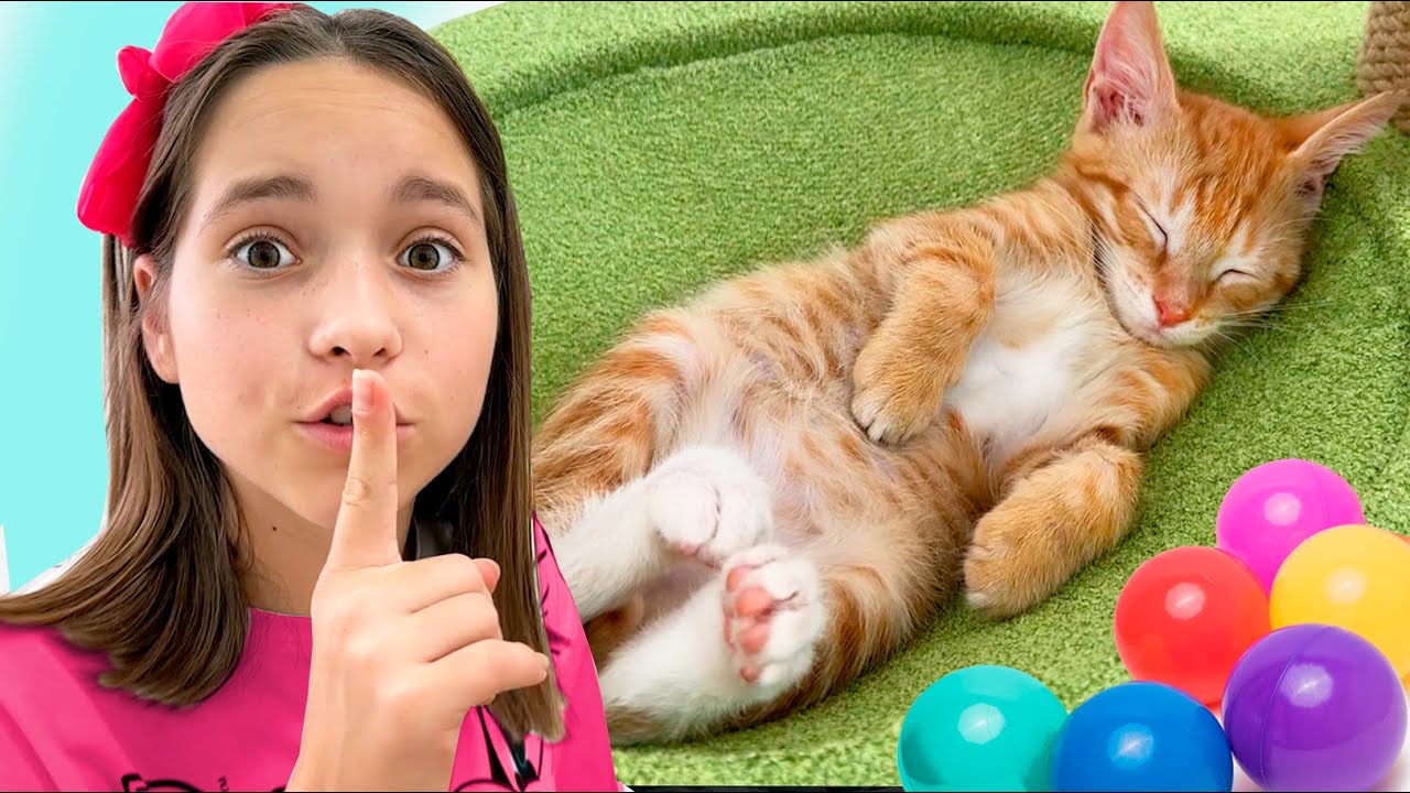 Sofia makes a playhouse for kittens