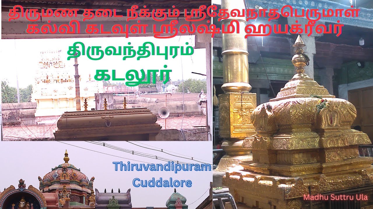 திருமண தடை நீக்கும் ஸ்ரீதேவநாதபெருமாள் || கல்வி கடவுள் ஸ்ரீலஷ்மி ஹயக்ரீவர் ||  திருவந்திபுரம் கடலூர்