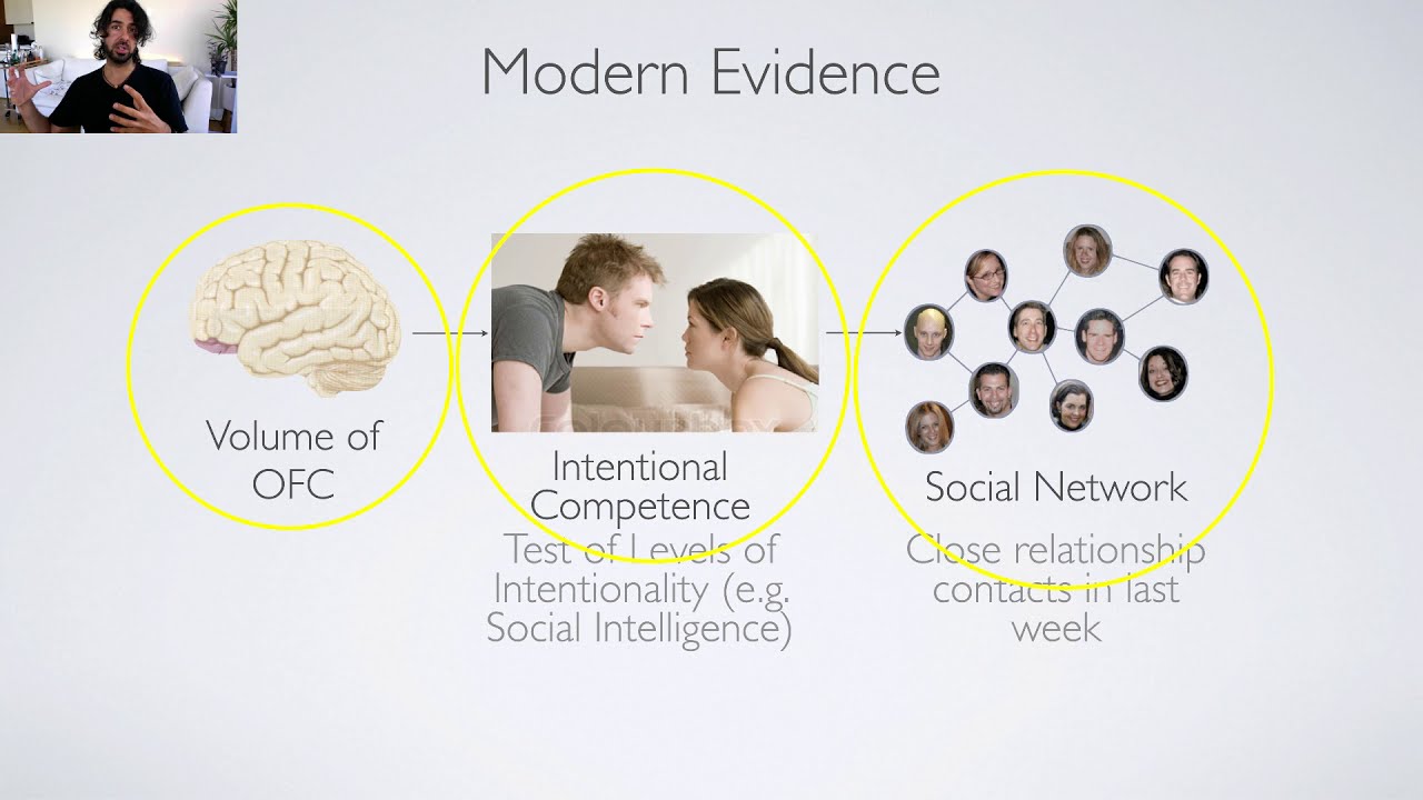 Lecture 6.2: The Social Brain Hypothesis: Theory of Mind
