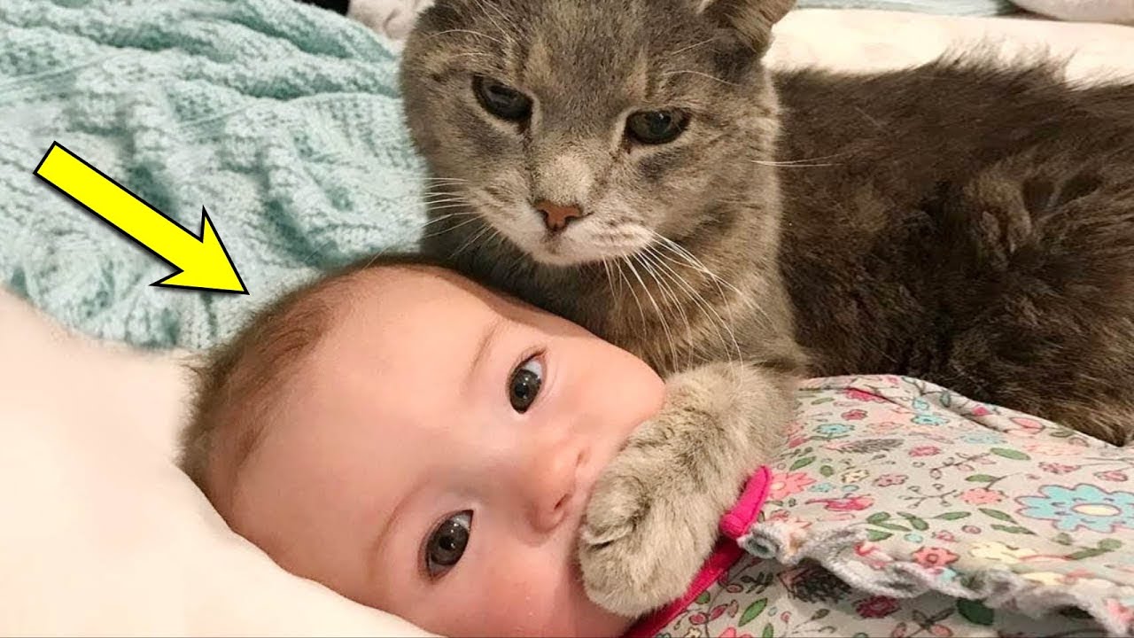 Cat Won&rsquo;t Leave Baby Alone. When Parents Discover the Reason, They Call the Police!