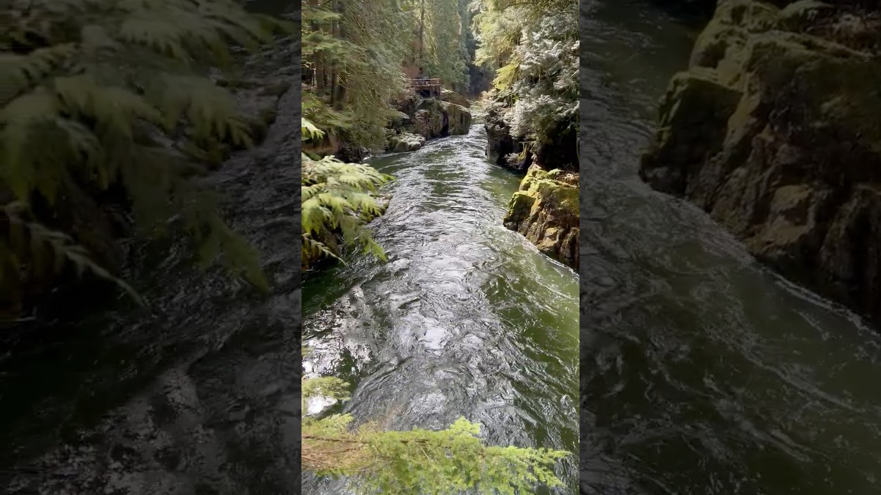 Bridge & Torrent 